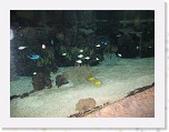 Dierentuin Burgers  Zoo 044 * 3648 x 2736 * (4.47MB)